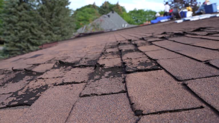 Best Sheet Metal Roofing  in East Pasadena, CA