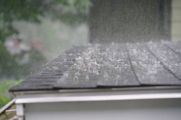 Professional Roofing Service in East Pasadena, CA