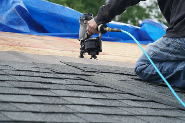Best Roof Insulation Installation  in East Pasadena, CA
