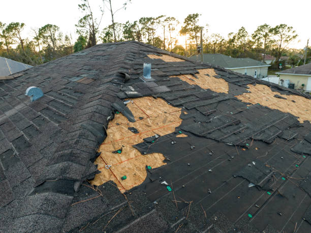 Best Wood Shake Roofing  in East Pasadena, CA
