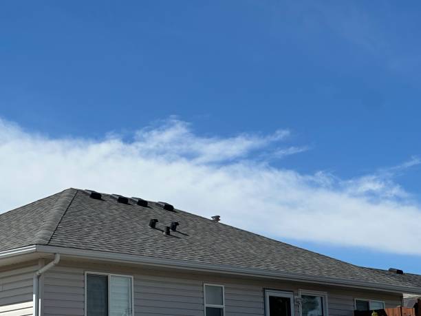 Best Cold Roofs  in East Pasadena, CA
